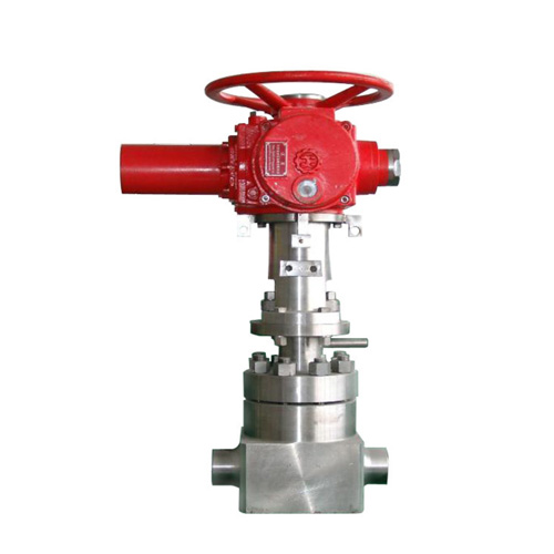 ��һ����ֹ��